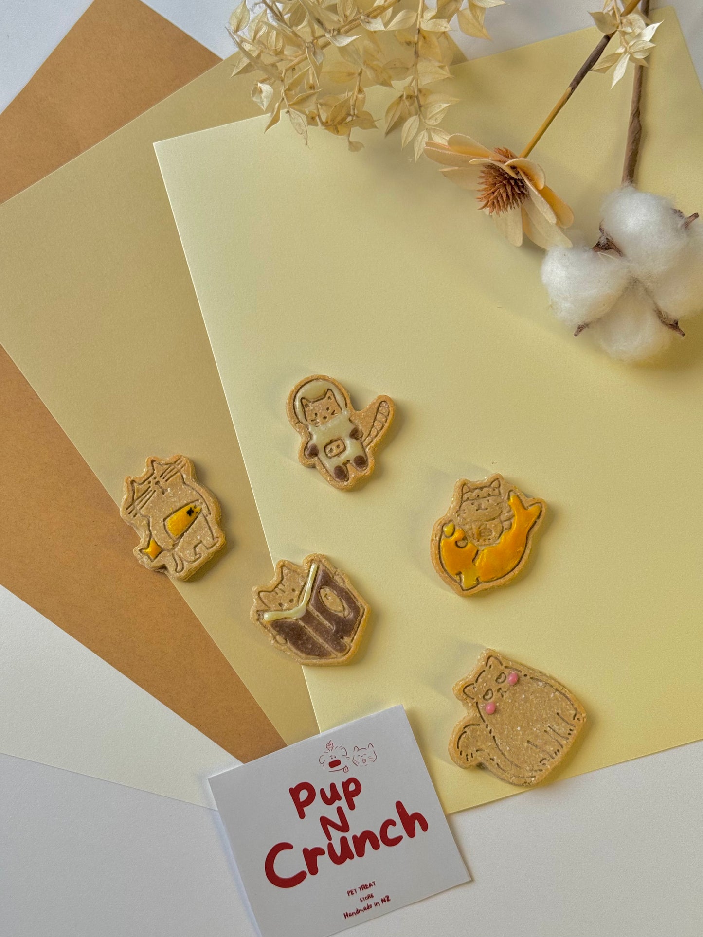 Mr.Bao's meowgination adventure cookies