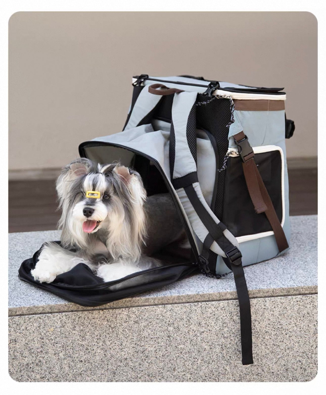 HiDREAM Tent-Style Pet Backpack