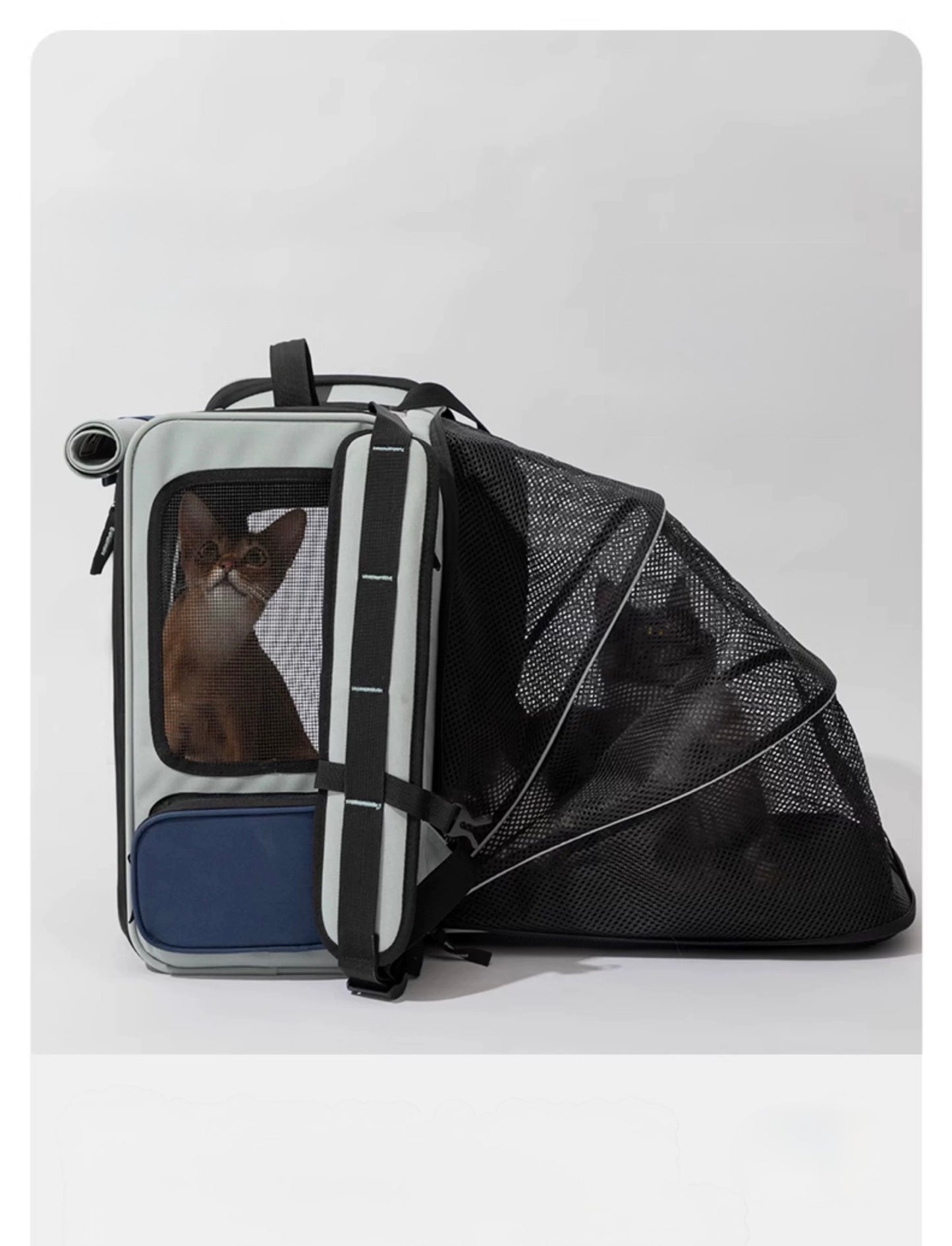 HiDREAM Pet Travel Backpack