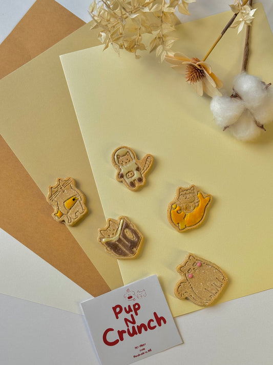 Mr.Bao's meowgination adventure cookies