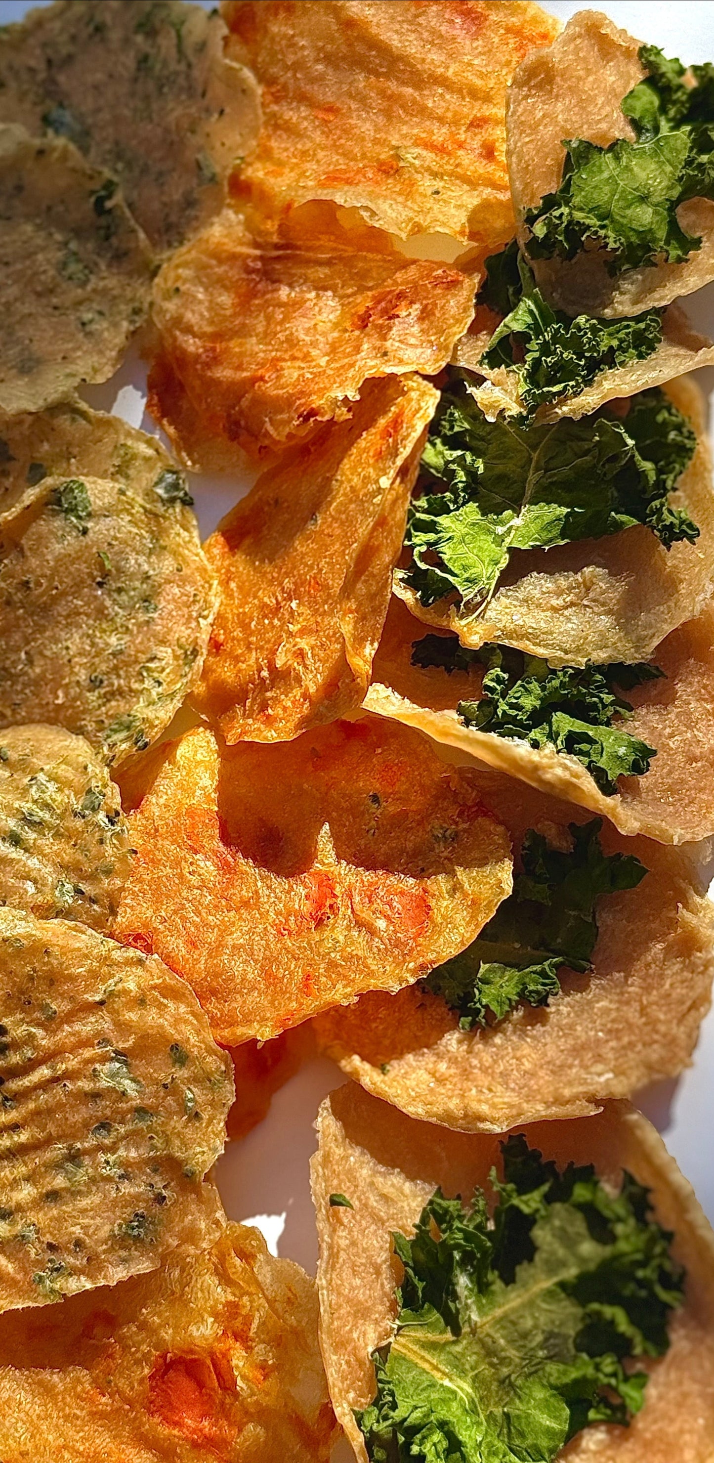 Pup Chips (40g)