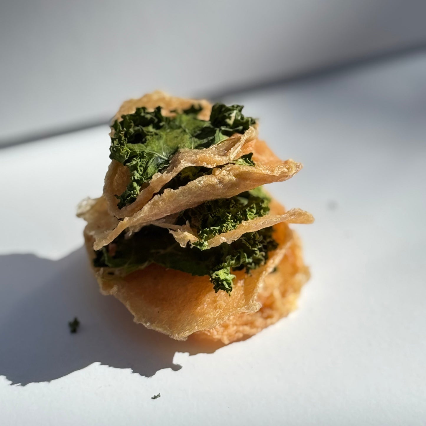 Pup Chips (40g)